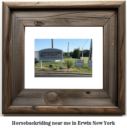 horseback riding near me in Erwin, New York